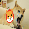 Looking Beyond Shiba Inu? XYZ Promises 120,000% Gains with All-Sports Appeal