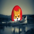 Shiba Inu Price Set to Increase with Recent Ecosystem Developments