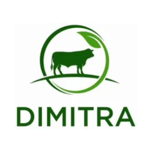 Dimitra icon