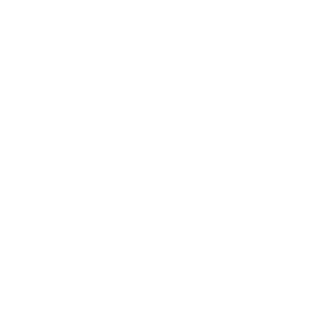 NextDAO (NAX)