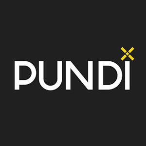 Pundi X NEM (NPXSXEM)