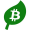 Bitcoin Green icon