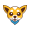 Chihua Token icon