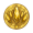 Elumia Crowns icon