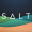 SALT icon